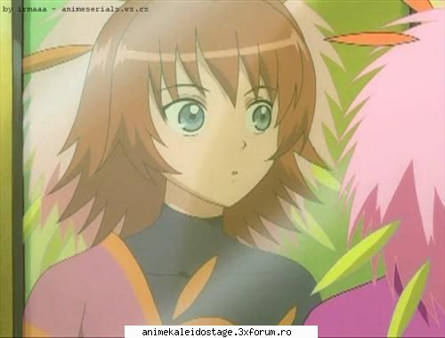 Rosetta Passel - Kaleido Stage